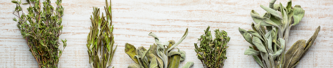 Cooking with herbs