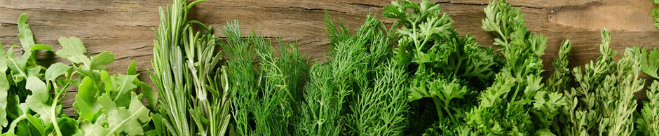 Perfect Gift for Cooks: An Outdoor Herb Garden