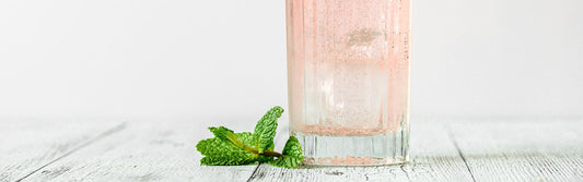 Sloe Gin Mint Fizz