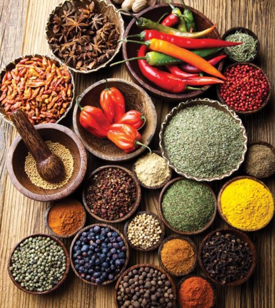 Large Collection of Culinary Herbs and Spices | Season Herbs